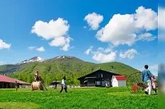 v8rt95016lf1v221精简-kaiyun体育