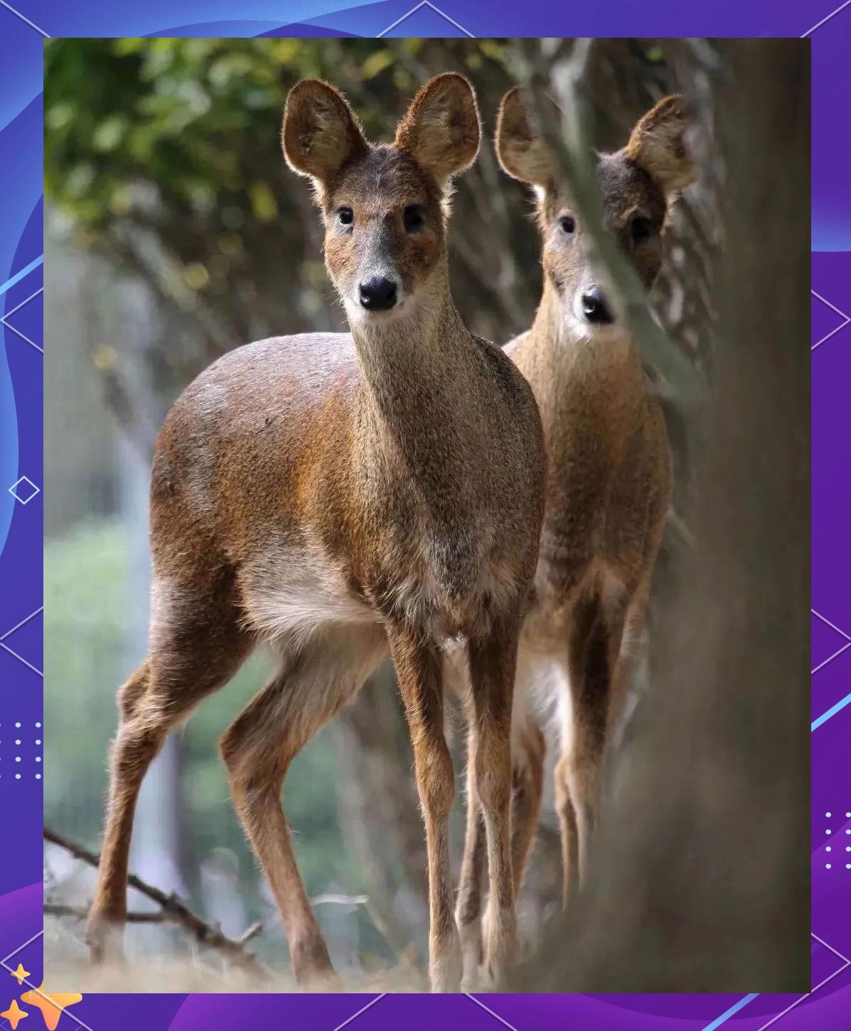 钕铁硼多少钱一吨