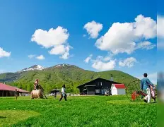 v8rt95016lf1v221精简